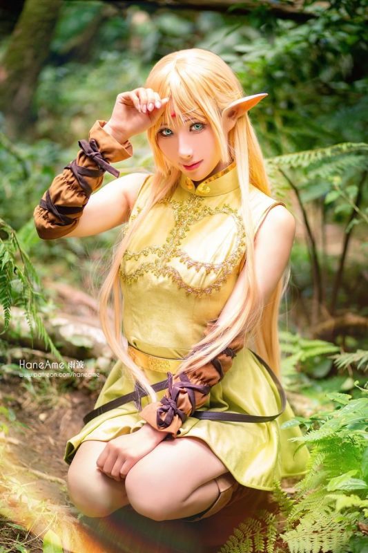 雨波_HaneAme No.035-Record of lodoss Deedlit [6P]-Zos次元社