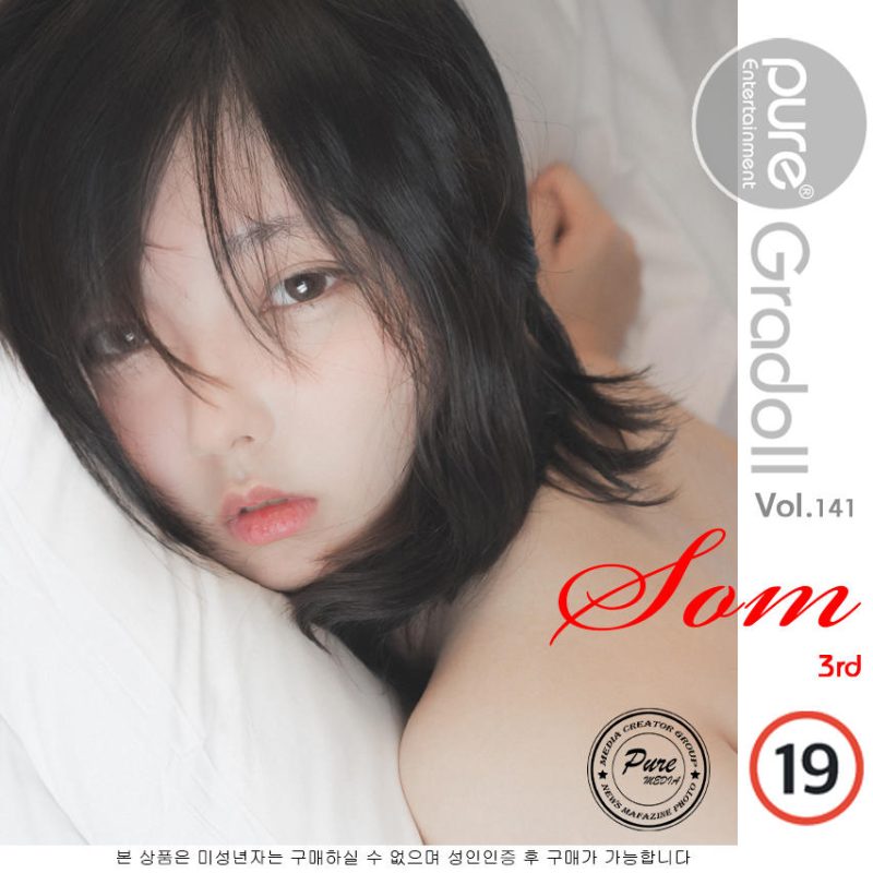 Hansom(한솜) No.003-[Pure Media] Vol.141 [111P]-Zos次元社