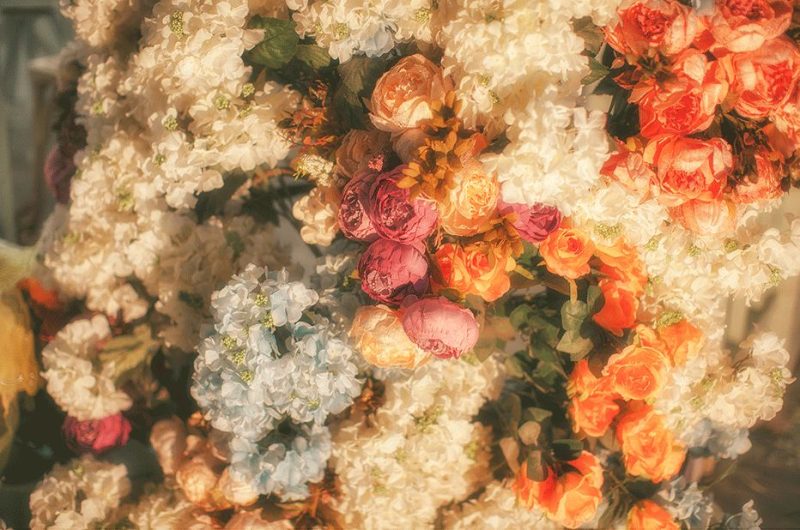 小野妹子w No.020-尼禄 [19P]-Zos次元社