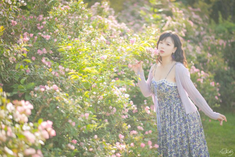 皮皮奶可可爱了啦(超皮皮皮奶) No.062 – 蔷薇花 [37P]-Zos次元社