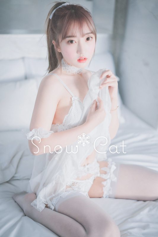 HaNari(하나리) No.010-[DJAWA] Snow Cat [35P]-Zos次元社
