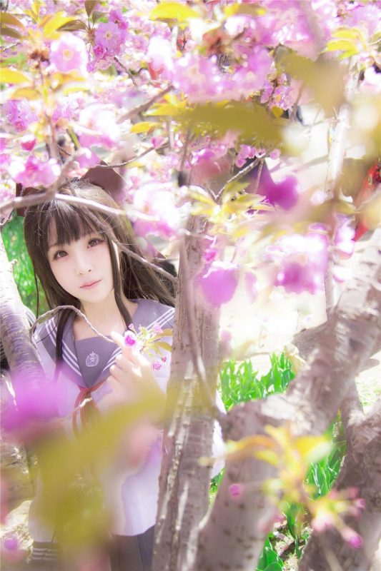 汐兔子 No.007-樱花记 毕业祭 [16P]-Zos次元社