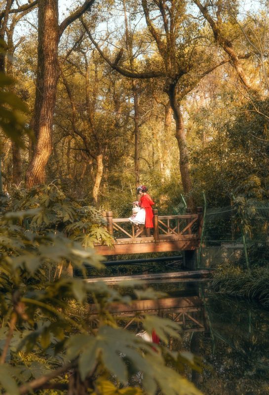 阿包也是兔娘 No.019-lolita红裙2 [28P]-Zos次元社