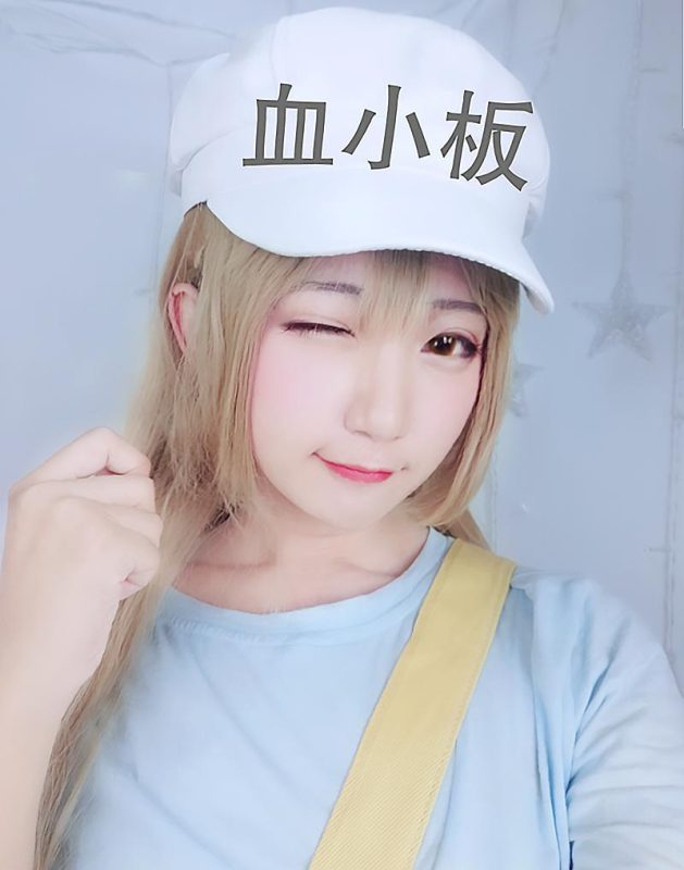 许多鱼鱼鱼 No.022-血小板 [7P]-Zos次元社