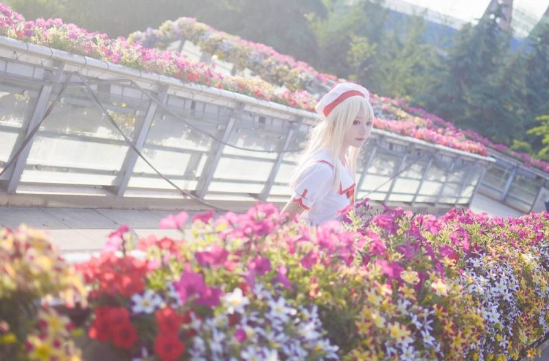 许多鱼鱼鱼 No.028-FGO 魔法少女伊莉雅 [7P]-Zos次元社