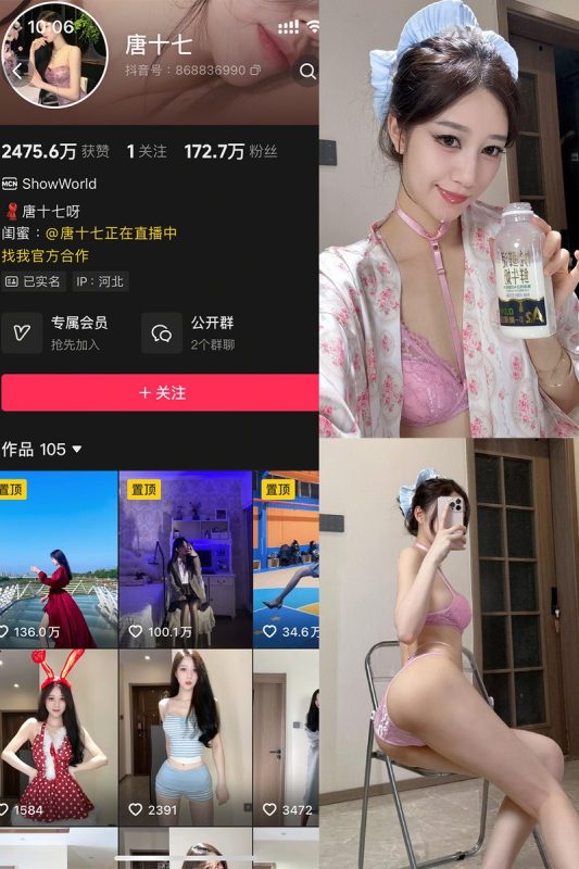 唐十七 – 微密圈/秘语空间等写真&视频合集-御姐部落