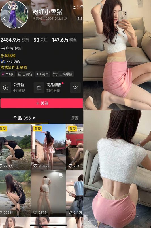 粉红小香猪 – 微密圈/岛遇等写真&视频合集-御姐部落
