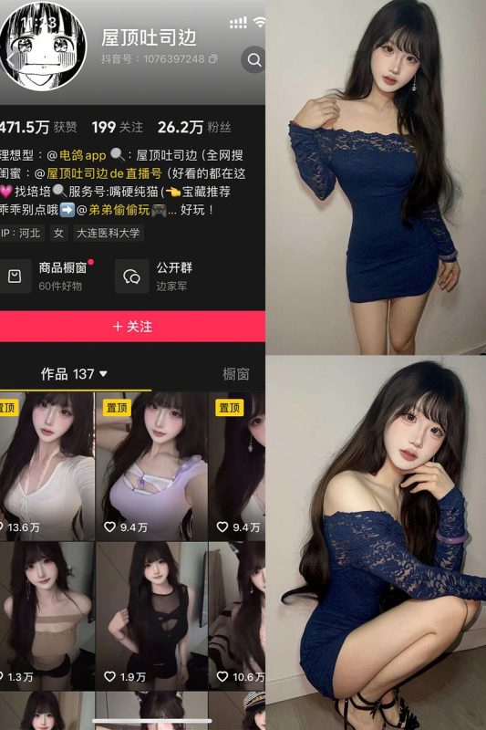 屋顶吐司边 – 微密圈/岛遇等写真&视频合集-御姐部落