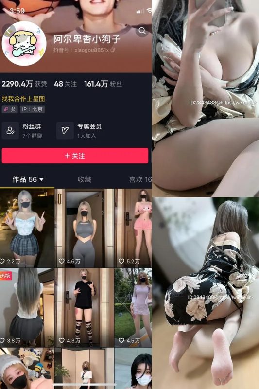阿尔卑香小狗子 – 微密圈写真&视频合集-御姐部落