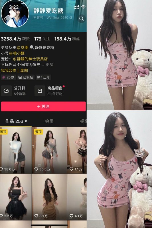 静静爱吃糖 – 微密圈写真&视频合集-御姐部落