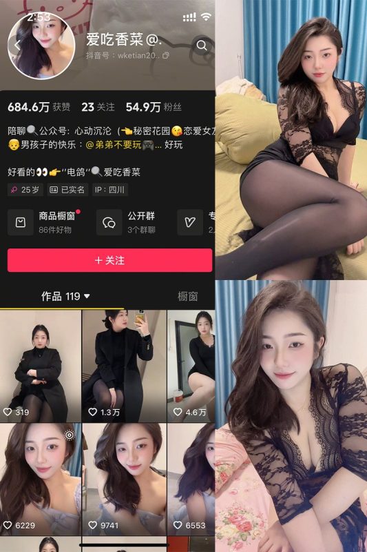 爱吃香菜 – 微密圈写真&视频合集-御姐部落