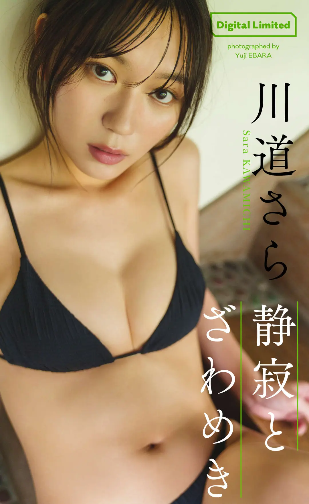 Kawamichi Sara (川道さら) – デジタル限定 写真集「静寂とざわめき」 (週プレ PHOTO BOOK) 70P