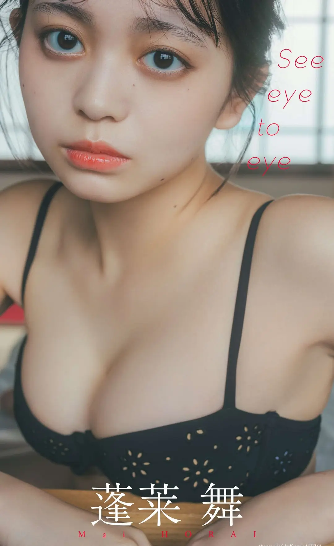 Mai Horai (蓬莱舞) – 写真集「See eye to eye」 (週プレ PHOTO BOOK) 78P