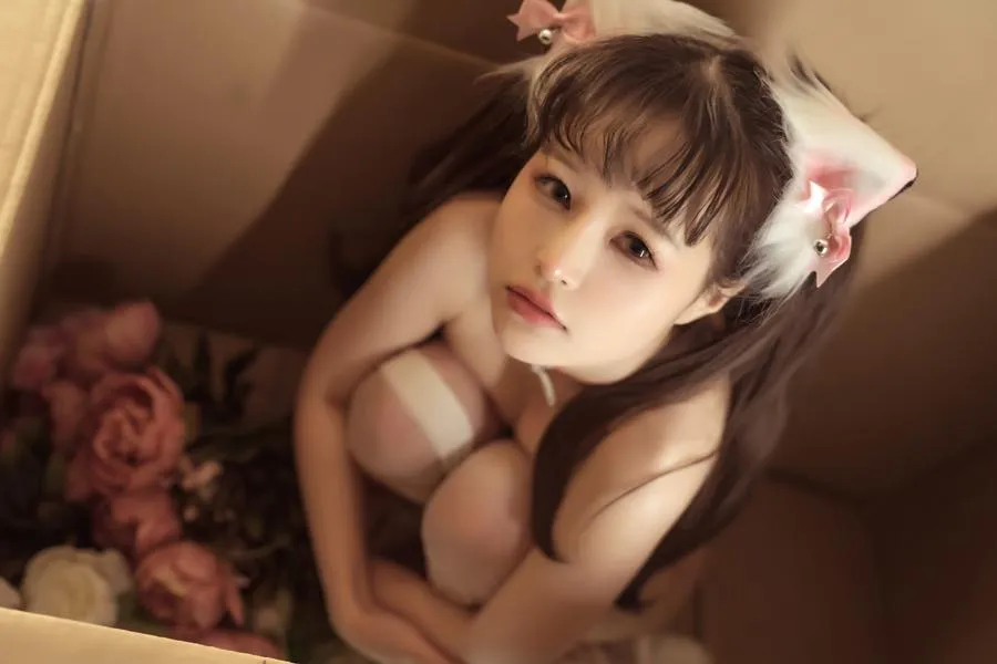 晕崽Zz 箱娘 52P